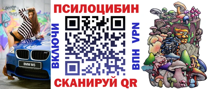 наркотики  Южноуральск  Галлюциногенные грибы Cubensis 
